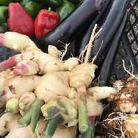 フライデープラス・野菜